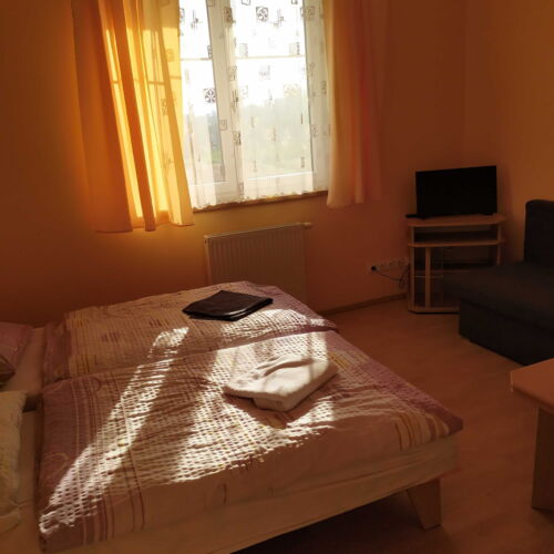 Pokoj bezbariérový  s manželskou postelí (s možností přistýlky)