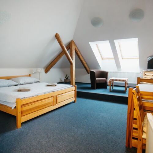 Pokoj se sprchou  pro 3 os. (s možností přistýlky)