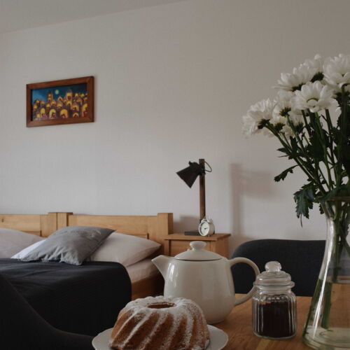 Pokoj se sprchou  pro 2 os. (s možností přistýlky)