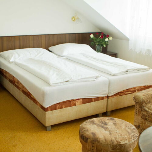 Pokoj se sprchou  s manželskou postelí (s možností přistýlky)