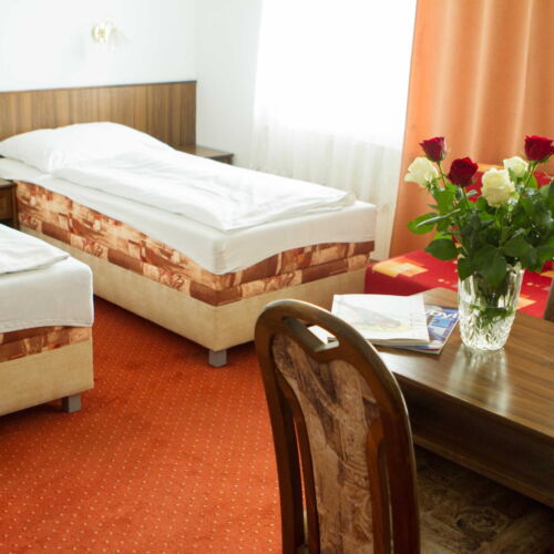 Pokoj se sprchou  pro 2 os. (s možností přistýlky)