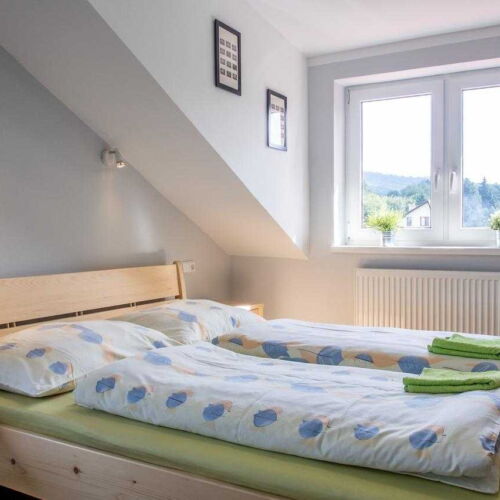 Twin Room with Shower (extra bed available)
