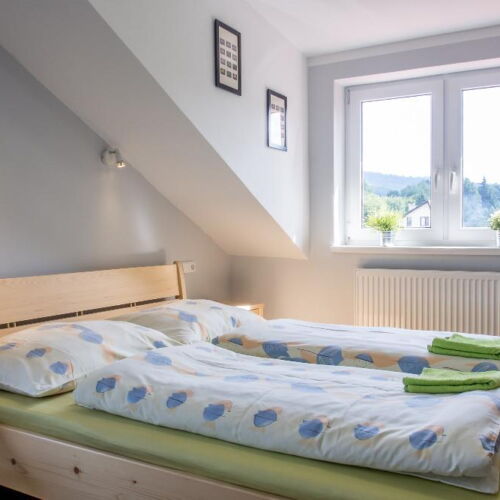 1-Room Apartment for 3 Persons with Shower and Kitchenette (extra beds available)