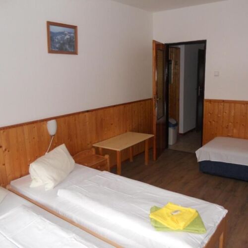 Camera tripla cu duș