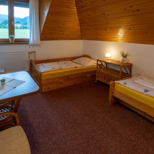 Dvoulůžkový pokoj s oddělenými postelemi