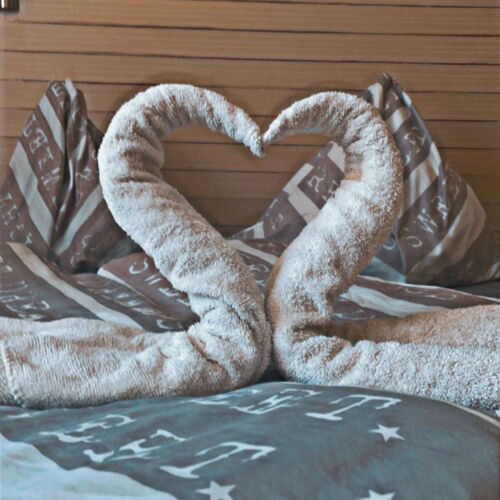 Camera twin cu duș cu balcon