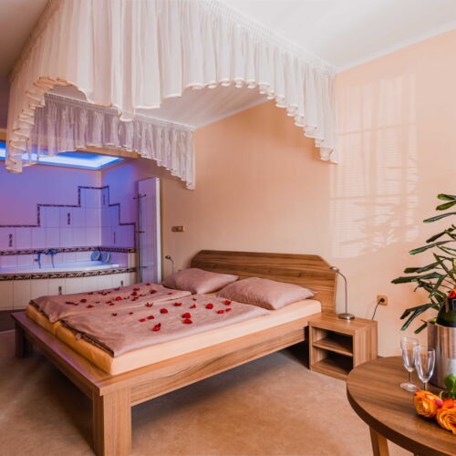 Apartman s vlastní kuchyňkou bezbariérový s manželskou postelí s 1 ložnicí