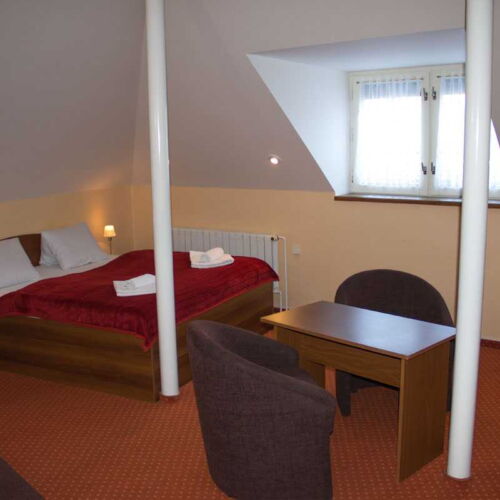 Apartament cu baie cu duș cu 1 camera pentru 2 pers. (se poate solicita pat suplimentar)