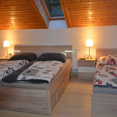 Pokoj se sprchou s manželskou postelí v podkroví (s možností přistýlky)