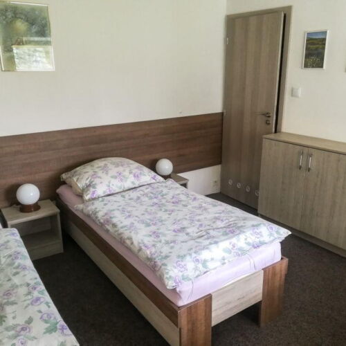 Camera twin cu duș (se poate solicita pat suplimentar)