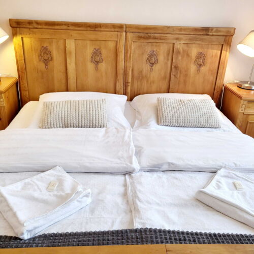 Pokoj se sprchou s vlastní kuchyňkou pro 2 os. (s možností přistýlky)