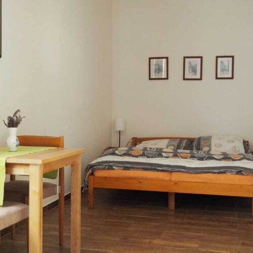 Apartament cu duș cu chicinetă proprie cu 1 camera pentru 2 pers. (se poate solicita pat suplimentar)