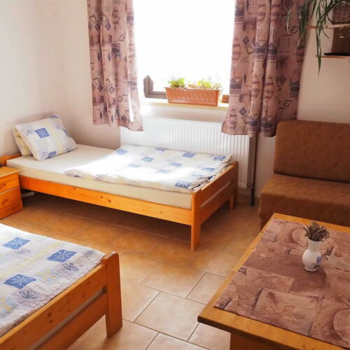 Camera twin cu duș cu chicinetă comună (se poate solicita pat suplimentar)