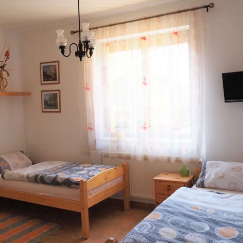 Camera twin cu duș (se poate solicita pat suplimentar)