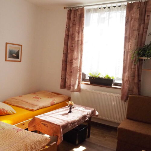 Camera twin cu duș cu chicinetă comună (se poate solicita pat suplimentar)