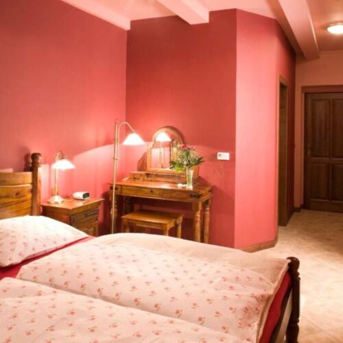 1-Room Apartment for 2 Persons with Shower (extra bed available)