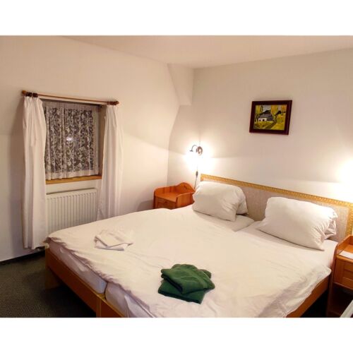 Double Room with Shower