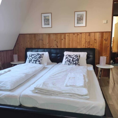 Pokoj se sprchou  pro 2 os.