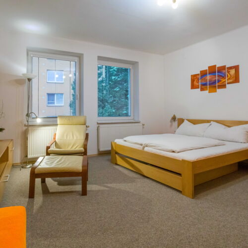 Dvoulůžkový pokoj s manželskou postelí nebo oddělenými postelemi