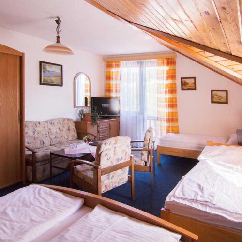 Pokoj se sprchou  pro 3 os.