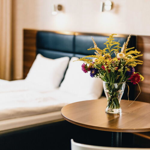 Pokoj se sprchou  pro 2 os. (s možností přistýlky)