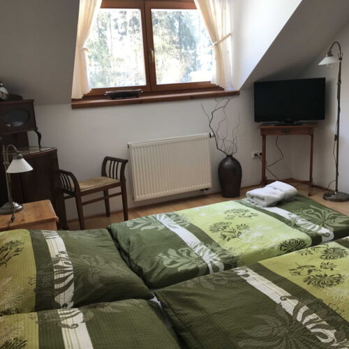 Zweibettzimmer mit Dusche (Zusatzbett möglich)