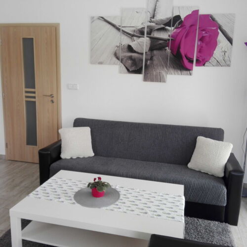 Apartman se sprchou s vlastní kuchyní pro 4 os.