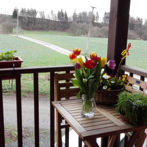 Apartman se sprchou s vlastní kuchyňkou pro 4 os.