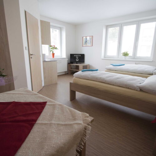 Apartman se sprchou s vlastní kuchyňkou pro 2 os. (s možností přistýlky)