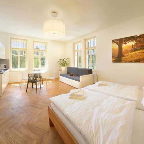 Apartament studio cu chicinetă proprie cu 1 camera pentru 2 pers. (se poate solicita pat suplimentar)