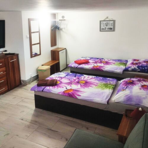 1-Zimmer-Apartment für 3 Personen mit Dusche und Eigner Küche (Zusatzbett möglich)