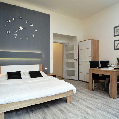 Studio Apartman se sprchou pro 3 os. s 1 ložnicí
