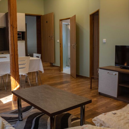 Apartman se sprchou s vlastní kuchyňkou pro 4 os. se 2 ložnicemi