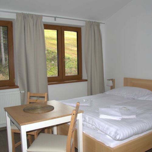 Pokoj se sprchou s vlastní kuchyňkou pro 2 os. (s možností přistýlky)