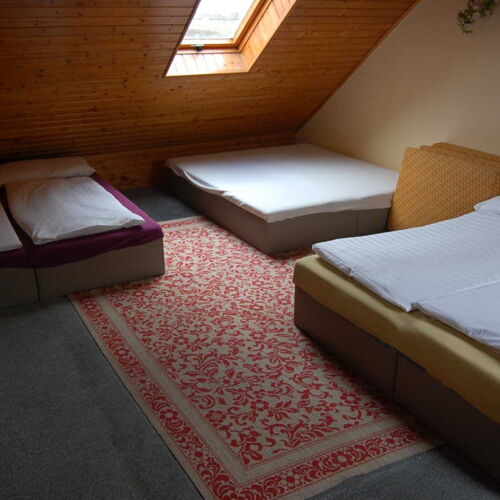 Standard Family Pokoj pro 8 os.