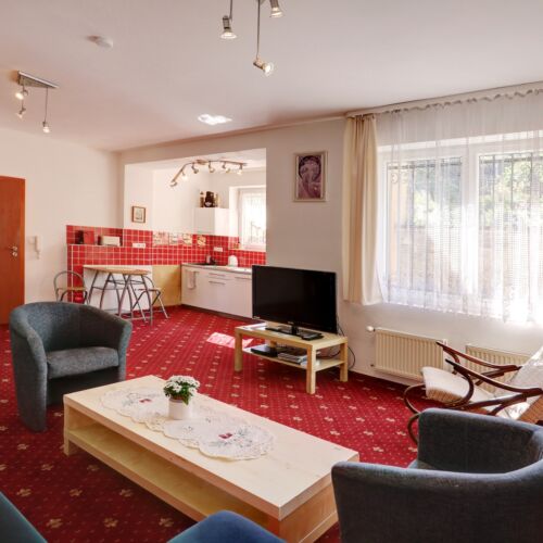 Apartman se sprchou s vlastní kuchyňkou pro 4 os. s 1 ložnicí