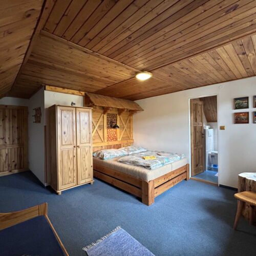 Camera tripla cu duș