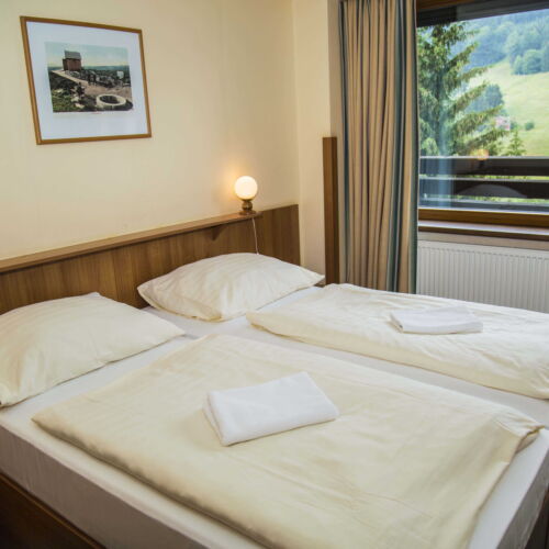 Pokoj s balkónem pro 2 os. s výhledem na hory