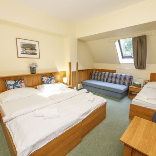 Economy Pokoj pro 3 os. s výhledem na les