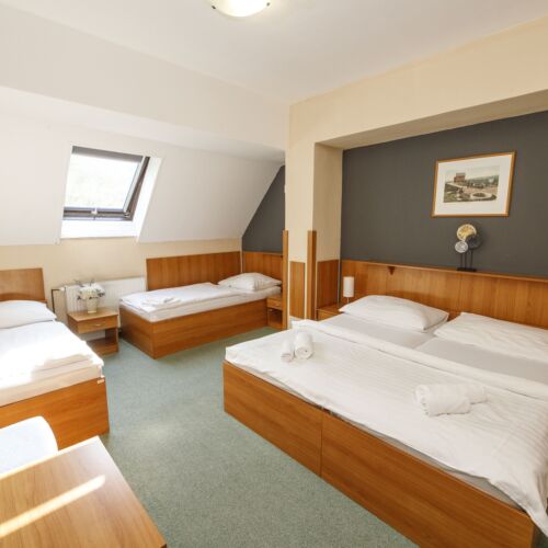 Economy Pokoj pro 4 os. s výhledem na les