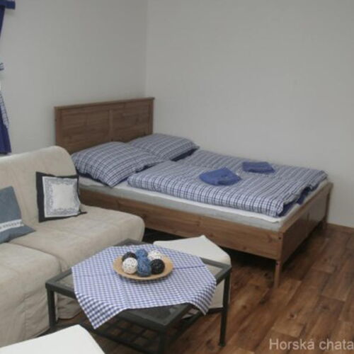 Pokoj se sprchou s vlastní kuchyňkou pro 2 os. (s možností přistýlky)