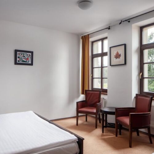 Standard Pokoj s koupelnou s manželskou postelí