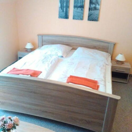 Pokoj se sprchou  pro 3 os.