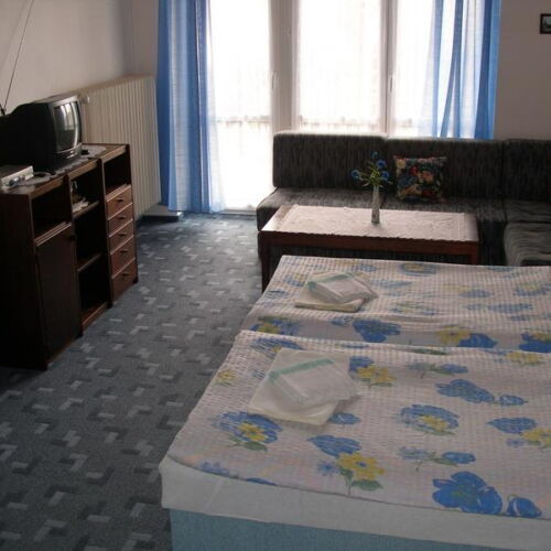 Camera twin cu duș cu balcon (se poate solicita pat suplimentar)