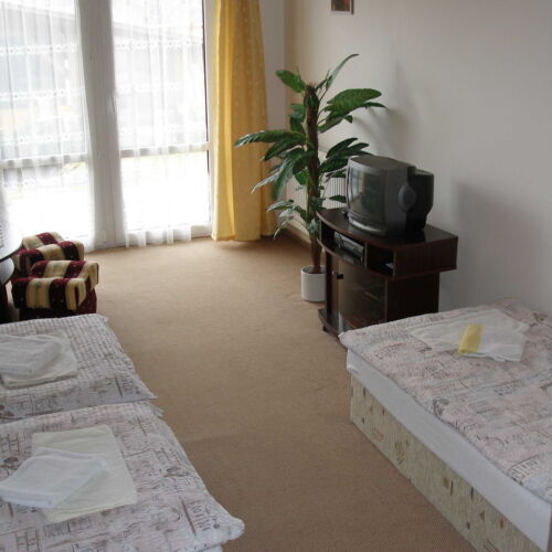 Camera tripla cu duș cu balcon