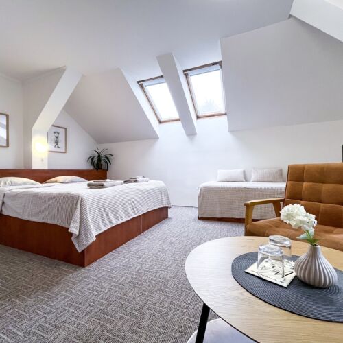 Pokoj se sprchou  pro 3 os.