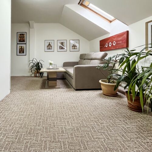 Pokoj se sprchou  pro 4 os.