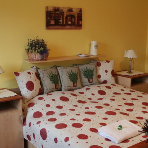 Camera twin (se poate solicita pat suplimentar)