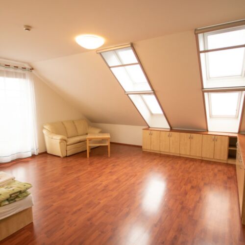Twin Room with Shower (extra beds available)