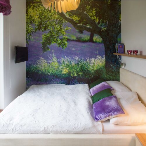 Jednolůžkový / Dvoulůžkový mini s terasou